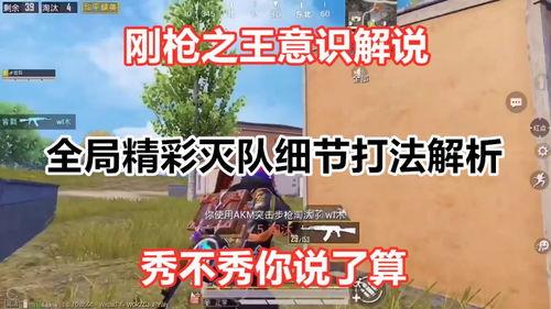 和平精英最新爆料讲解,全新内容与玩法大揭秘