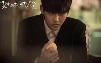 乔木爆料视频,幕后真相大曝光